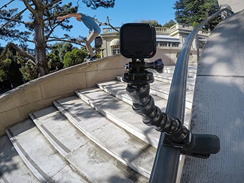 GoPro Gooseneck (GoPro Official Mount)