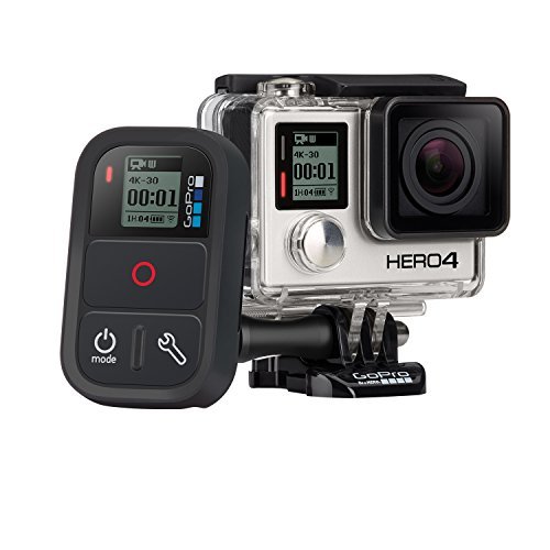 GoPro Smart Remote