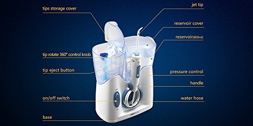 H2ofloss Water Dental Flosser Quiet Design(50db) With 12 Multifunctional Tips Countertop Dental Oral Irrigator for Family (hf-8whisper) 