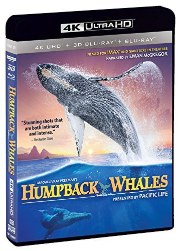 IMAX: Humpback Whales