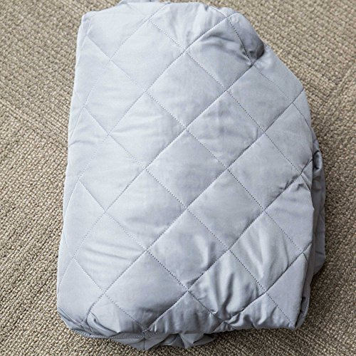 Intex Queen Quilted Airbed Cover for Air Mattress up to 22" Tall (Cover Only)