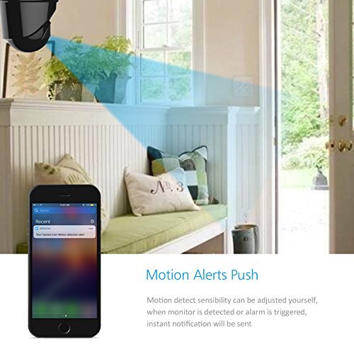 Keekoon 1080P Wireless/Wired IP Camera ,Baby Monitor with Two-Way Talk & Pan/Tilt & Night Vision (Black)