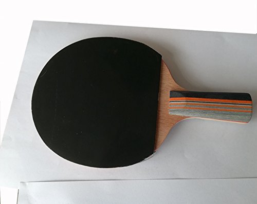 Landson Table Tennis Racket Ping Pong Paddle Penhold Bat