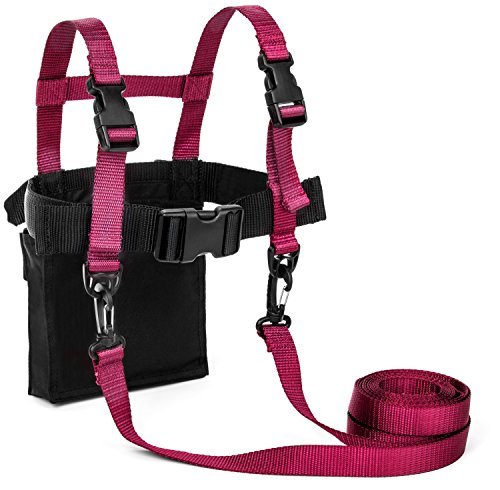 Lucky Bums Toddler and Kids Ski Trainer Harness