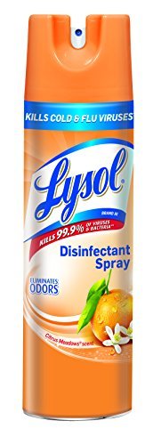 Lysol Disinfectant Spray, Citrus Meadows, 19oz 