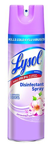 Lysol Disinfectant Spray, Early Morning Breeze, 19oz 