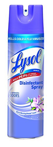 Lysol Disinfectant Spray, Jasmine & Rain, 19oz 