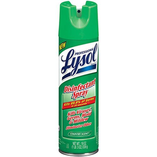 Lysol Professional Disinfectant Spray, Country Scent, 19 oz 