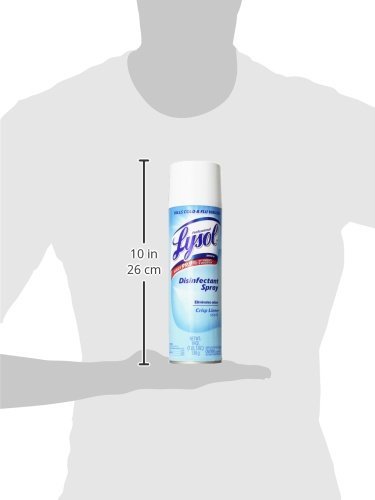 Lysol Professional Disinfectant Spray, Crisp Linen, 19 oz 