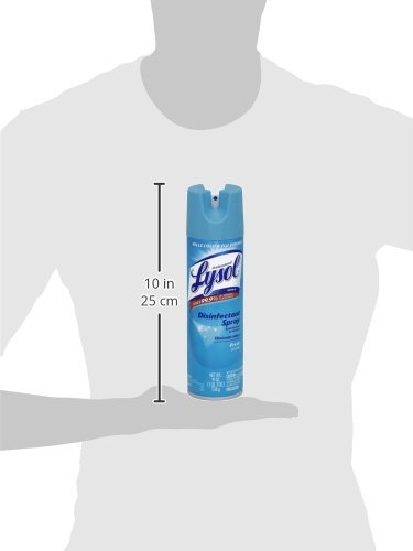 Lysol Professional Disinfectant Spray, Fresh, 19 oz 