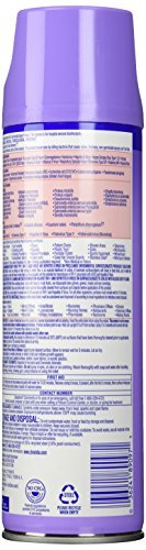 Lysol Professional Disinfectant Spray, Lavender Scent, 19 oz 