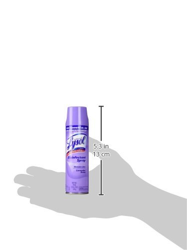 Lysol Professional Disinfectant Spray, Lavender Scent, 19 oz 