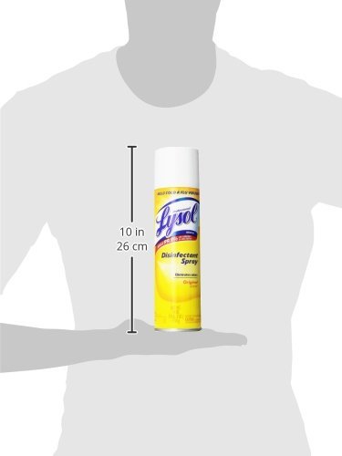 Lysol Professional Disinfectant Spray, Original Scent, 19 oz 