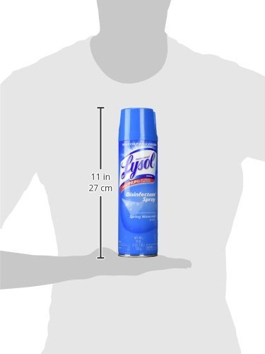 Lysol Professional Disinfectant Spray, Spring Waterfall, 19 oz 