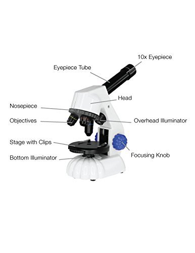 My First Lab Mini Duo-Scope, MFL-20