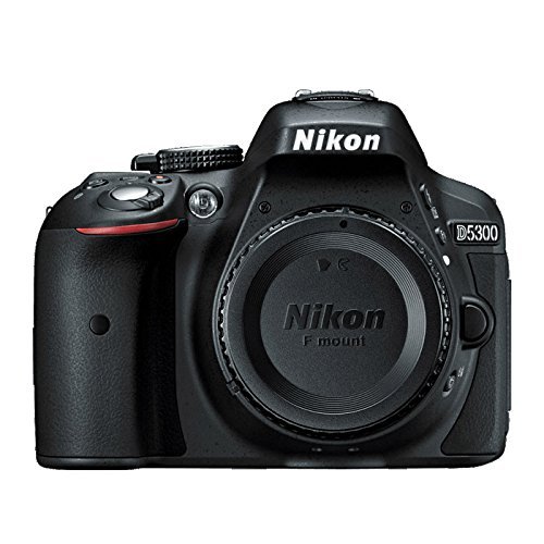 Nikon D5300 24.2 MP DSLR Camera + AF-P DX 18-55mm & 70-300mm NIKKOR Zoom Lens Kit + 64GB Memory Bundle + Photo Bag + Wide Angle Lens + 2x Telephoto Lens + Flash + Remote +Tripod+Filters (Black)