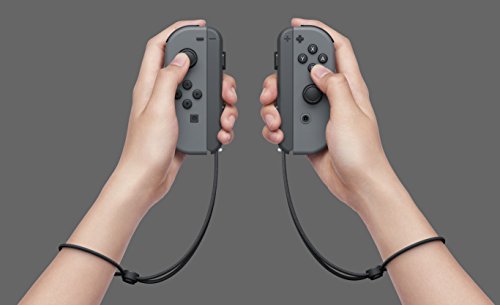 Nintendo Switch - Gray Joy-Con 