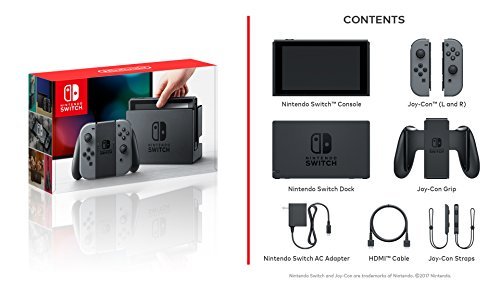 Nintendo Switch with Gray Joy-Con