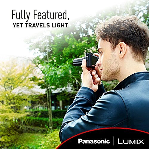 PANASONIC LUMIX 4K Point and Shoot Camera, 30X LEICA DC Vario-ELMAR Lens F3.3-6.4, 18 Megapixels, High Sensitivity Sensor, DMC-ZS60K (BLACK)