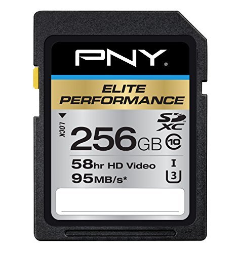 PNY Elite Performance 256 GB High Speed SDXC Class 10 UHS-I, U3 up to 95 MB/Sec Flash Card (P-SDX256U395-GE)