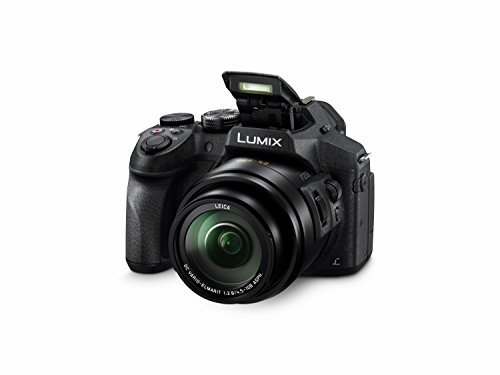 Panasonic LUMIX DMC-FZ300K 12.1 Megapixel, 1/2.3-inch Sensor, 4K Video, Splash & Dustproof Body, Leica DC Lens 24X F2.8 Zoom (Black)