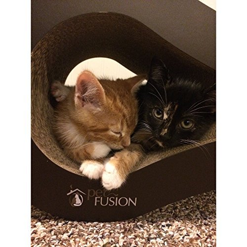 PetFusion Ultimate Cat Scratcher Lounge. [Superior Cardboard & Construction]