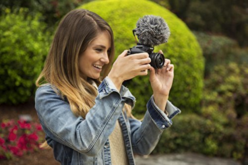 Rode VideoMicro Compact On-Camera Microphone with Rycote Lyre Shock Mount