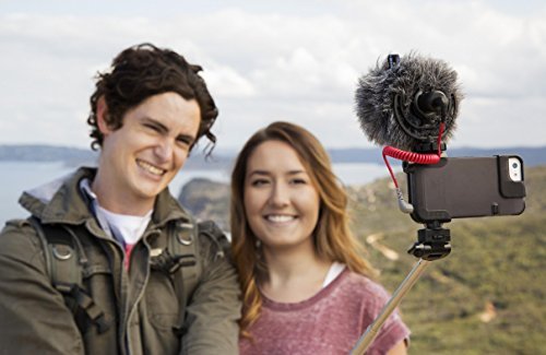 Rode VideoMicro Compact On-Camera Microphone with Rycote Lyre Shock Mount