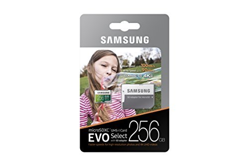 Samsung 256GB 100MB/s (U3) MicroSDXC EVO Select Memory Card with Adapter (MB-ME256GA/AM)