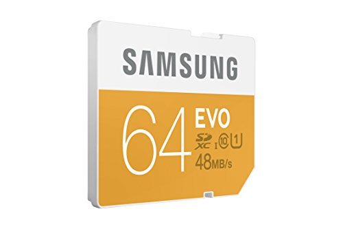 Samsung 64GB EVO SDXC UHS 1 - Class 10 Memory Card (MB-SP64D/AM)