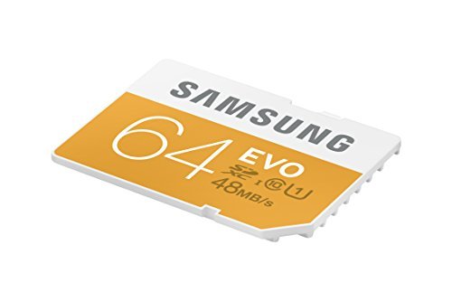 Samsung 64GB EVO SDXC UHS 1 - Class 10 Memory Card (MB-SP64D/AM)