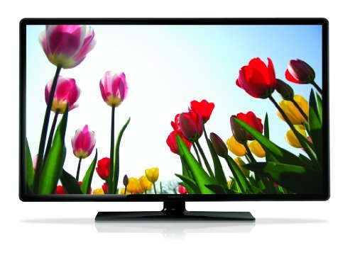 Samsung UN19F4000 19-Inch 720p 60Hz LED TV (2013 Model)