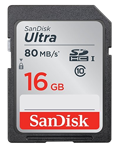 SanDisk 16GB Class 10 SDHC UHS-I Up to 80MB/s Memory Card (SDSDUNC-016G-GN6IN)