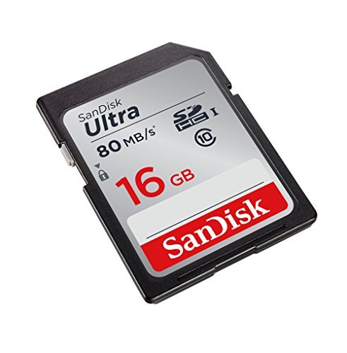 SanDisk 16GB Class 10 SDHC UHS-I Up to 80MB/s Memory Card (SDSDUNC-016G-GN6IN)