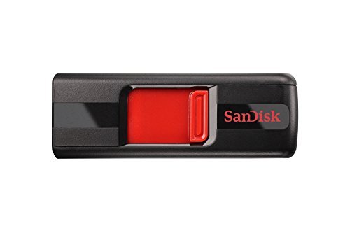 SanDisk Cruzer 256GB USB 2.0 Flash Drive (SDCZ36-256G-B35)