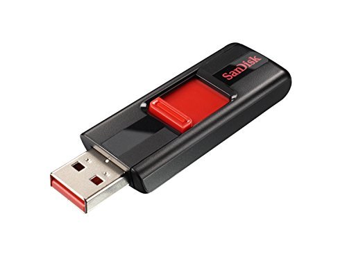 SanDisk Cruzer 256GB USB 2.0 Flash Drive (SDCZ36-256G-B35)