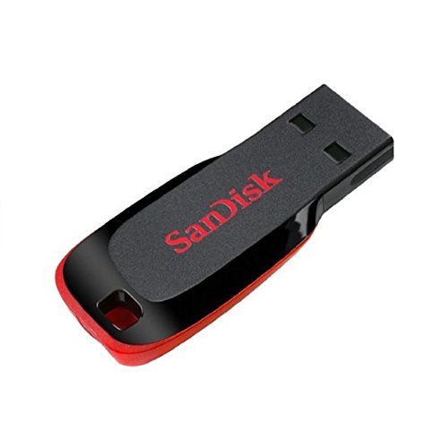 SanDisk Cruzer Blade 8GB (10 pack) SDCZ50-008G