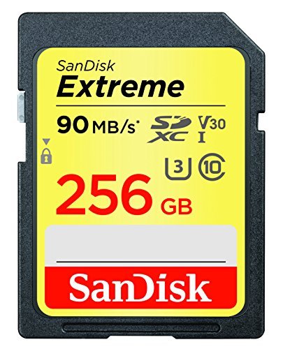 SanDisk Extreme 256GB SDXC UHS-I Card - SDSDXVF-256G-GNCIN [Newest Version]