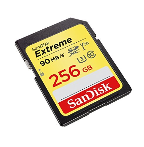 SanDisk Extreme 256GB SDXC UHS-I Card - SDSDXVF-256G-GNCIN [Newest Version]