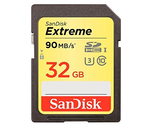 SanDisk Extreme 32GB SDHC UHS-I Card (SDSDXNE-032G-GNCIN) [Old Version]