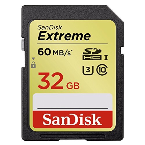 SanDisk Extreme 32GB UHS-I/U3 SDHC Memory Card Up To 60MB/s Read - SDSDXN-032G-G46 [Older Version]