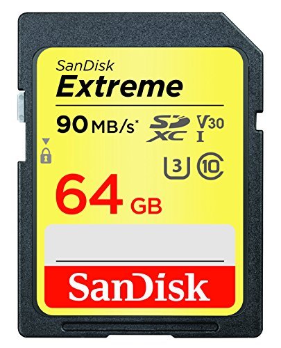 SanDisk Extreme 64GB SDXC UHS-I Card (SDSDXVE-064G-GNCIN) [Newest Version]