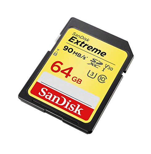 SanDisk Extreme 64GB SDXC UHS-I Card (SDSDXVE-064G-GNCIN) [Newest Version]