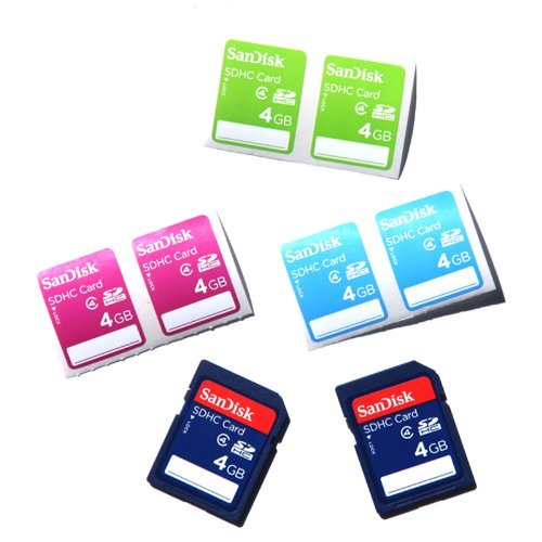 SanDisk SDSDB2L-004G-B35 4 GB Class 4 SDHC Flash Memory Card (Pack of 2)