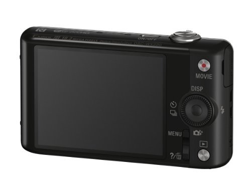 Sony DSCWX220/B 18.2 MP Digital Camera with 2.7-Inch LCD (Black)