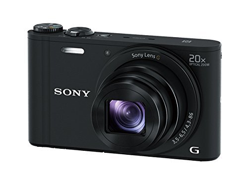 Sony DSCWX350 18 MP Digital Camera (Black)