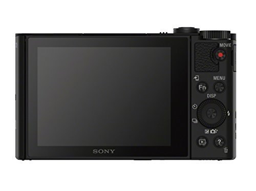 Sony DSCWX500/B Digital Camera with 3-Inch LCD (Black)