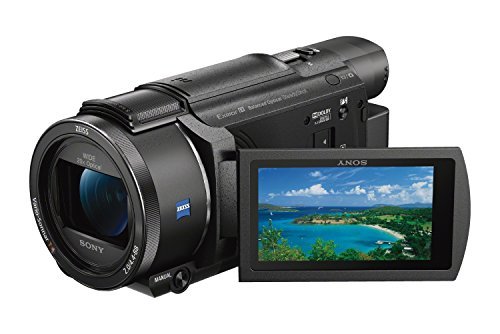 Sony FDRAX53/B 4K HD Video Recording Camcorder (Black)