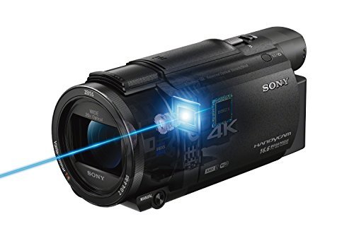 Sony FDRAX53/B 4K HD Video Recording Camcorder (Black)