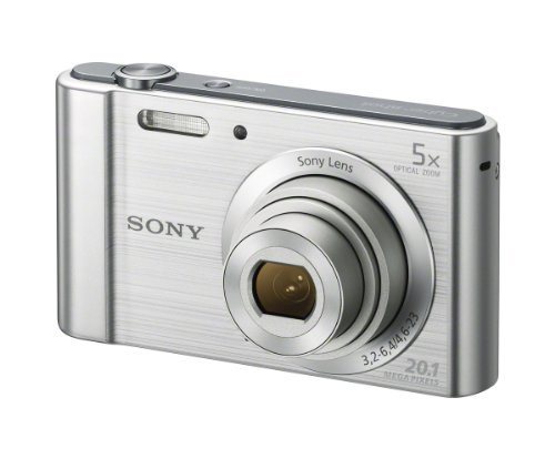 Sony W800/S 20.1 MP Digital Camera (Silver)